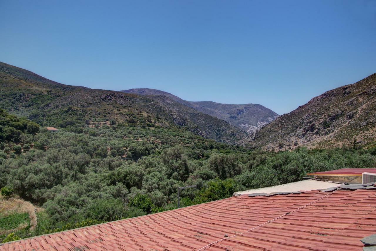 Traditional Cretan Country House Plokamiana Exterior photo
